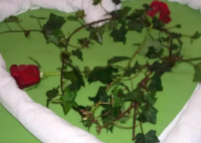 Spacious In - 110 M² With Terrace View *